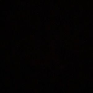 Meet your Posher, Dominique